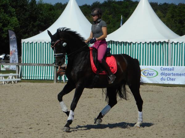 Dscn1332 copie