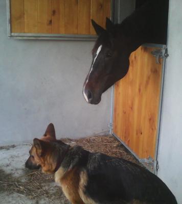 Img 20150427 194942 copie